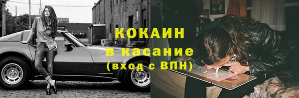 шишки Новокубанск