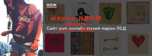 крисы Новодвинск