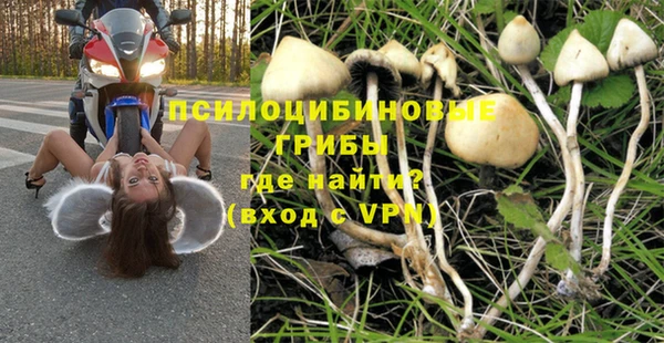 шишки Новокубанск