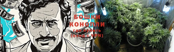 крисы Новодвинск