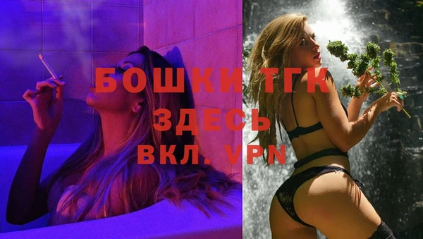 крисы Новодвинск