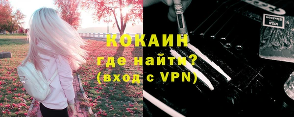 шишки Новокубанск