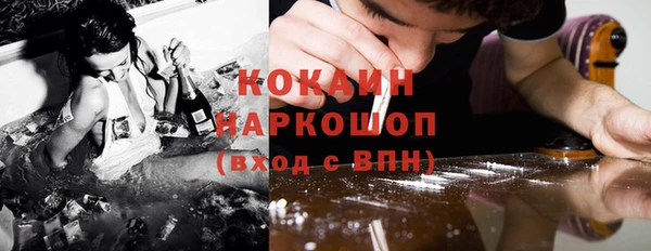 шишки Новокубанск
