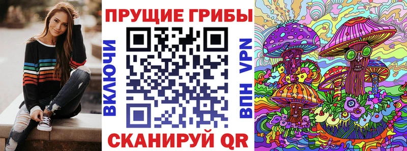 где найти   Мурино  Галлюциногенные грибы мицелий 