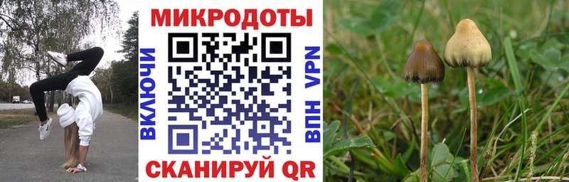 Галлюциногенные грибы Magic Shrooms Мурино